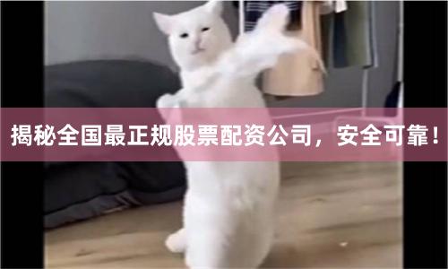 揭秘全国最正规股票配资公司，安全可靠！