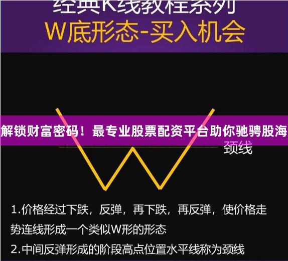解锁财富密码！最专业股票配资平台助你驰骋股海
